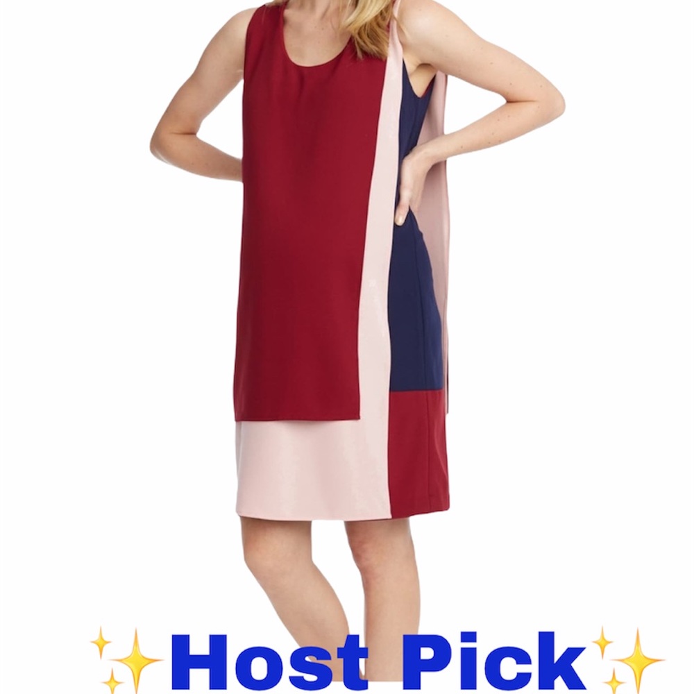SOLD 💝 ROSIE POPE Edina Maternity Shift Dress Size Large color block, multicolor